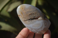 Polished Dendritic Agate Standing Free Forms  x 6 From Madagascar