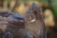 Natural Red Hematoid Quartz Specimens  x 2 From Karoi, Zimbabwe - Toprock Gemstones and Minerals 