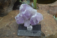 Natural Jacaranda Amethyst Clusters  x 3 From Mumbwa, Zambia - Toprock Gemstones and Minerals 