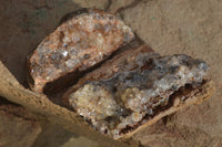 Natural Clear Hematoid Quartz With Goethite Inclusions x 13 From Zambia