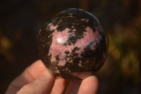 Polished  Pink & Black Rhodonite Spheres x 4 From Madagascar