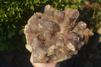 Natural Large Red Hematoid Quartz Cluster x 1 From Karoi, Zimbabwe