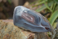 Polished Red River Agate Nodules  x 4 From Zimbabwe - TopRock