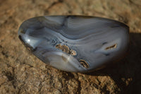 Polished Dendritic Agate Standing Free Forms  x 6 From Madagascar