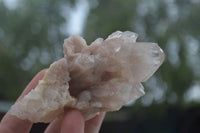 Natural Cascading White Phantom Quartz Clusters  x 6 From Luena, Congo - Toprock Gemstones and Minerals 