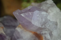 Natural Large Jacaranda Amethyst Cluster  x 1 From Mumbwa, Zambia - Toprock Gemstones and Minerals 