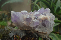 Natural Jacaranda Amethyst Cluster x 1 From Mumbwa, Zambia - TopRock