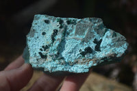 Natural Drusy Coated Chrysocolla Dolomite Specimens x 3 From Laputa Mine, Congo