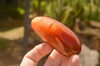 Polished Small Carnelian Palm Stones / Gallets - sold per kg - From Madagascar - TopRock