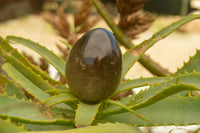 Polished Large Morion Smokey Quartz Eggs x 5 From Madagascar - TopRock