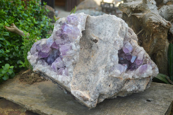 Natural Jacaranda Amethyst Cluster x 1 From Mumbwa, Zambia