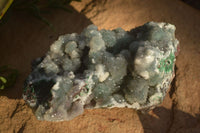 Natural Drusy Coated Ball Malachite On Dolomite Specimens  x 2 From Likasi, Congo