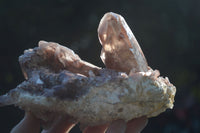 Natural Red Hematoid Quartz Specimens  x 2 From Karoi, Zimbabwe - Toprock Gemstones and Minerals 