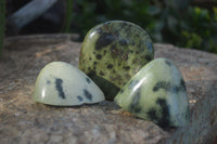 Polished Spotted Leopard Stone Standing Free Forms  x 12 From Nyanga & Shamva, Zimbabwe - Toprock Gemstones and Minerals 