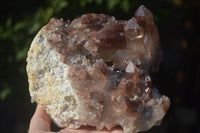 Natural Red Hematoid Quartz Specimens  x 2 From Karoi, Zimbabwe - Toprock Gemstones and Minerals 