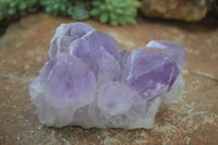 Natural Jacaranda Amethyst Clusters  x 3 From Mumbwa, Zambia - Toprock Gemstones and Minerals 