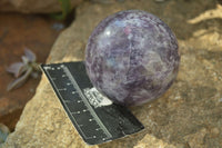 Polished Purple Lepidolite Spheres With Pink Rubellite On Some  x 4 From Madagascar - Toprock Gemstones and Minerals 