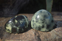 Polished Spotted Leopard Stone Standing Free Forms  x 12 From Nyanga & Shamva, Zimbabwe - Toprock Gemstones and Minerals 