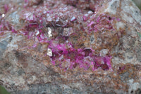 Natural Pink Salrose Cobaltion Dolomite Specimens  x 3 From Kakanda, Congo