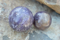 Polished Purple Lepidolite Mica Spheres  x 6 From Madagascar - TopRock