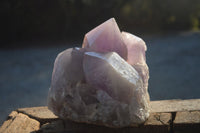 Natural Jacaranda Amethyst Cluster  x 1 From Zambia - Toprock Gemstones and Minerals 