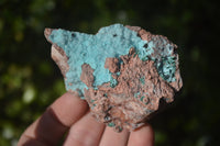 Natural Drusy Coated Chrysocolla On Dolomite Specimens x 4 From Congo