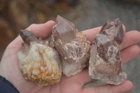 Natural Red Hematoid Quartz Specimens x 12 From Karoi, Zimbabwe - TopRock