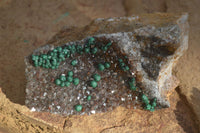 Natural Rare Ball Malachite On Drusy Quartz & Dolomite Matrix  x 2 From Kambove, Congo