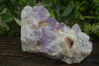 Natural Large Jacaranda Amethyst Cluster  x 1 From Mumbwa, Zambia - Toprock Gemstones and Minerals 