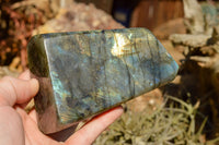 Polished Labradorite Standing Free Forms With Intense Blue & Gold Flash x 2 From Sakoany, Madagascar - TopRock