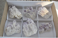 Natural Sugar Amethyst Clusters  x 6 From Solwezi, Zambia - Toprock Gemstones and Minerals 