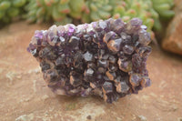 Natural Dark Amethyst Clusters (Stone Sealed) x 12 From Zambia