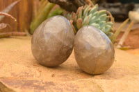 Polished Large Morion Smokey Quartz Eggs x 5 From Madagascar - TopRock