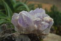 Natural Jacaranda Amethyst Cluster x 1 From Mumbwa, Zambia - TopRock