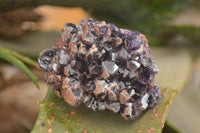 Natural Dark Amethyst Clusters (Stone Sealed) x 12 From Zambia