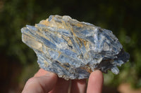 Natural Blue Kyanite Matrix Specimens  x 5 From Zimbabwe