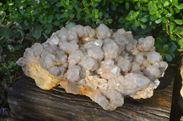 Natural Giant Cascading Smokey Quartz Cluster x 1 From Luena, Congo