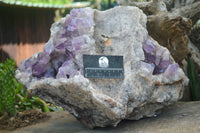 Natural Jacaranda Amethyst Cluster x 1 From Mumbwa, Zambia