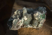 Natural Drusy Coated Ball Malachite On Dolomite Specimens  x 2 From Likasi, Congo