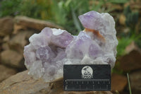 Natural Large Jacaranda Amethyst Cluster  x 1 From Mumbwa, Zambia - Toprock Gemstones and Minerals 