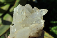 Natural Zambian Quartz Clusters x 6 From Serenje, Zambia - TopRock