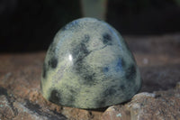 Polished Spotted Leopard Stone Standing Free Forms  x 12 From Nyanga & Shamva, Zimbabwe - Toprock Gemstones and Minerals 