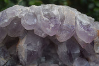 Natural Extra Large Jacaranda Amethyst Cluster  x 1 From Zambia - Toprock Gemstones and Minerals 