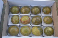 Polished Large Green Opal Palm Stones  x 12 From Madagascar - Toprock Gemstones and Minerals 