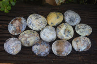 Polished Stunning Dendritic Opal Palm Stones  x 12 From Madagascar - Toprock Gemstones and Minerals 