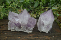 Natural Jacaranda Amethyst Clusters  x 2 From Mumbwa, Zambia - Toprock Gemstones and Minerals 