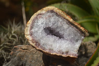 Natural Amethyst Crystal Centred Geodes  x 4 From Zululand, South Africa - TopRock