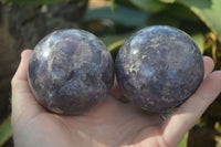 Polished Purple Lepidolite Spheres With Pink Rubellite On Some  x 4 From Madagascar - Toprock Gemstones and Minerals 