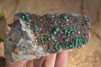 Natural Rare Ball Malachite On Drusy Quartz & Dolomite Matrix  x 2 From Kambove, Congo