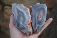 Polished Red River Agate Nodules  x 4 From Zimbabwe - TopRock